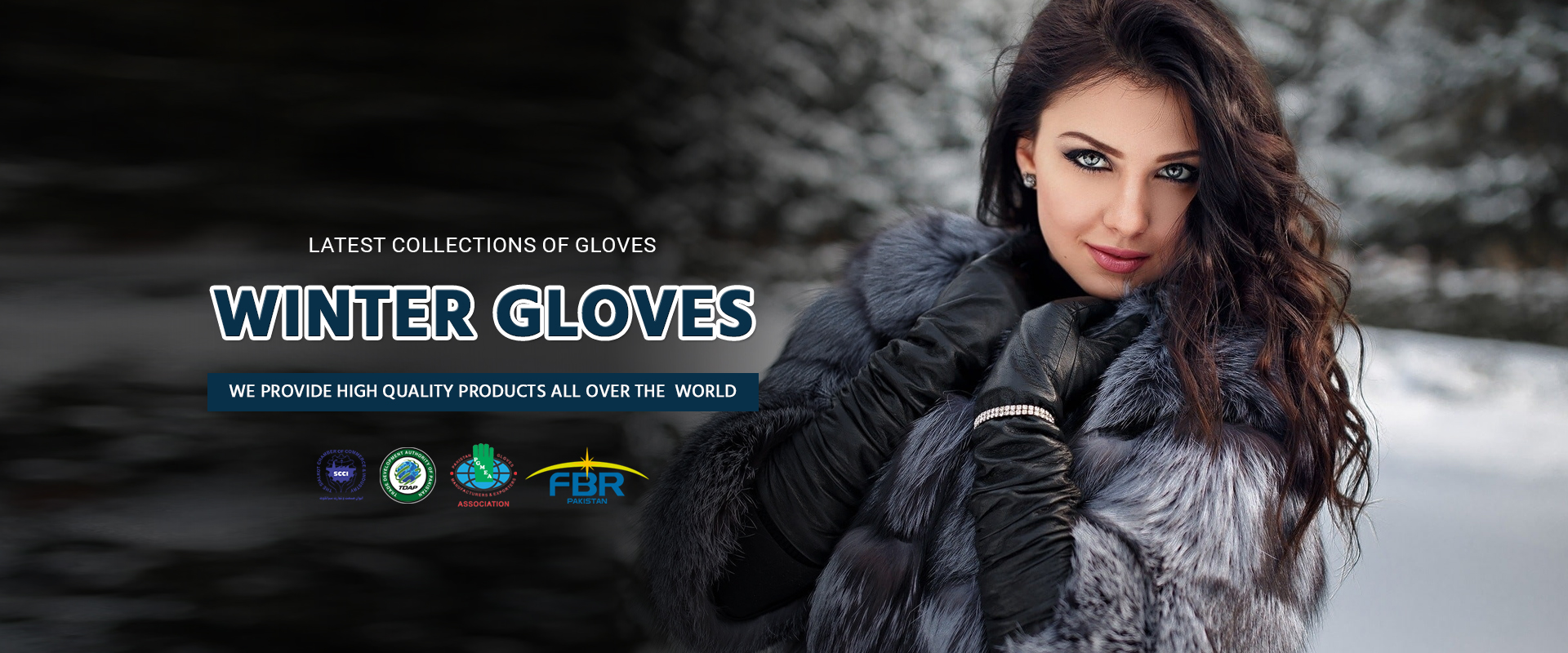 Winter Gloves